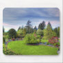 Park in Spring Mouse Mat