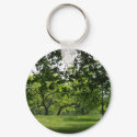 Park Keychain keychain