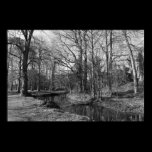 Park Landscape - Bute Park, Cardiff posters
