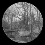 Park Landscape - Bute Park, Cardiff stickers