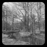 Park Landscape - Bute Park, Cardiff stickers