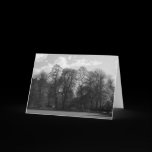Park Landscape, Bute Park, Cardiff, Wales, UK cards