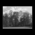 Park Landscape, Bute Park, Cardiff, Wales, UK postcards