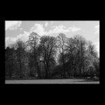 Park Landscape posters