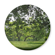 Park Magnet by emele1 Park Magnet