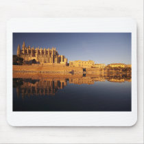 Park of the Sea Mouse Pad