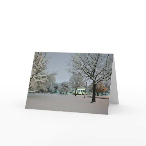 Park Snow holiday greeting card card