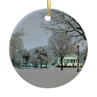 Park Snow ornament ornament