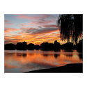 Park Sunset posters