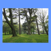 Park Trees Poster posters