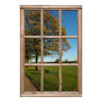 Park View from a Window print