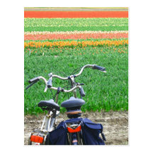 Parked Bicycles Spring Tulip Flower Field Postcard