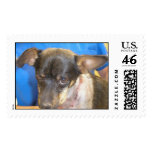 Parker1 Postage Stamp