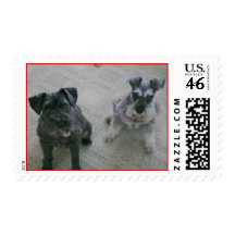 Parker and Tobi Stamp