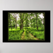 Parklands Poster