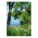 parktrees4 cards