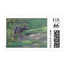 parkway morning055 stamp