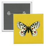 Parnassius apollo butterfly pin