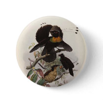 Parotia sexpennis - Six-shafted Bird Of Paradise buttons