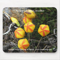 Parque Las Cajas, Ecuador mousepads
