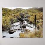 Parque Las Cajas, Ecuador Print