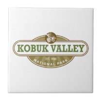 Parque nacional del valle de Kobuk azulejos
