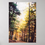 Parque Nacional Ordesa posters