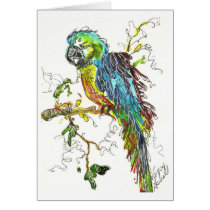 Parrot 1 cards