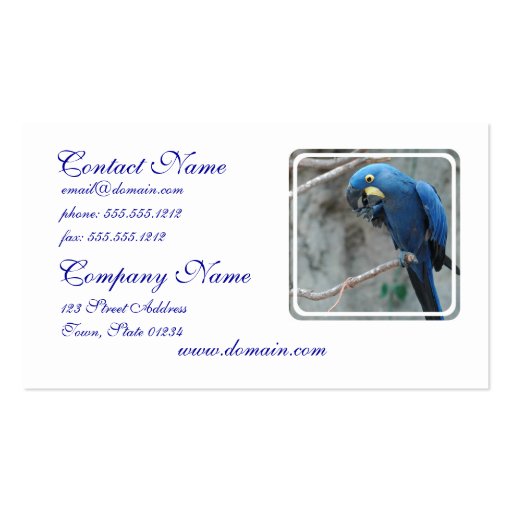 parrot-23 business card (front side)
