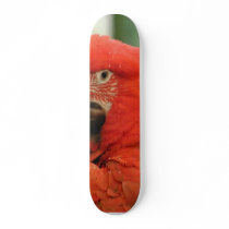 Parrot Animal skateboards by lifesphere Parrot Animal skateboards