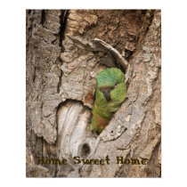 Parrot at home posters by patdix Parrot at home posters