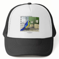 Parrot Bathroom Fixtures Funny Cap hats