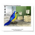 Parrot Bathroom Fixtures Poster posters