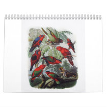 parrot, bird collection calendars