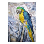 parrot_bird_painting