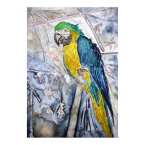 parrot_bird_painting posters