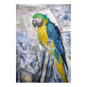 parrot_bird_painting posters