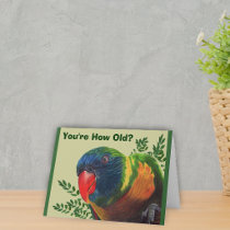 Parrot Birthday Card cards