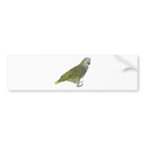 Parrot Bumper Sticker