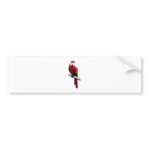 Parrot bumper stickers