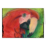 Parrot Card