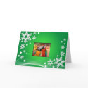 Parrot Card Green