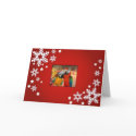 Parrot Card Red
