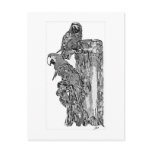 Parrot Chat Postcard
