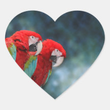 Parrot Couple Sticker