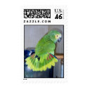 Parrot displaying postage by GeorgeButel Parrot displaying postage