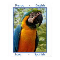 Parrot English, Loro Spanish posters