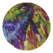 Parrot Feathers stickers