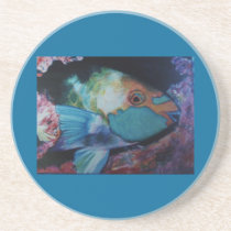 Parrot Fish Coasters