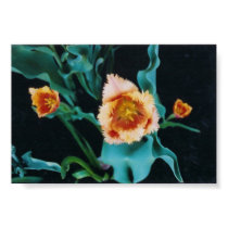 Parrot flower posters by ladypeace Parrot flower posters